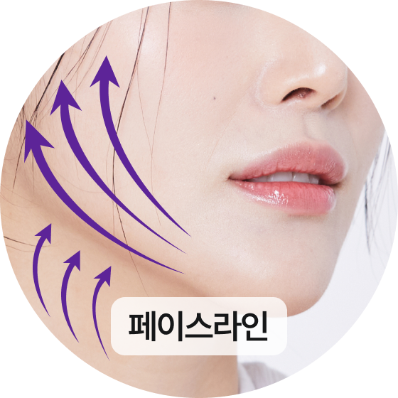 페이스라인